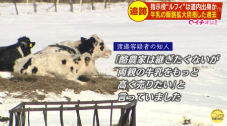 渡辺優樹(ルフィ)は札幌の大学で留年！在学中キャバクラ経営でBMW乗りまくり！