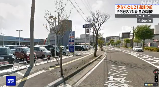 ビッグモーターの除草剤で枯せた街路樹のストリートビュー画像(グーグルマップ)https://www3.nhk.or.jp/news/html/20230727/k10014144121000.html